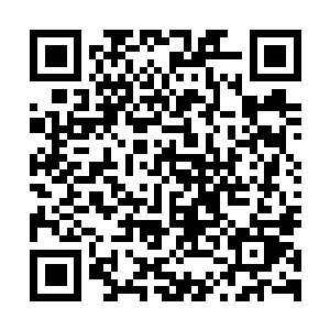 图片[1]-梦之形|官方中文|支持手柄|Shape of Dreams-资源捕手的分享社区